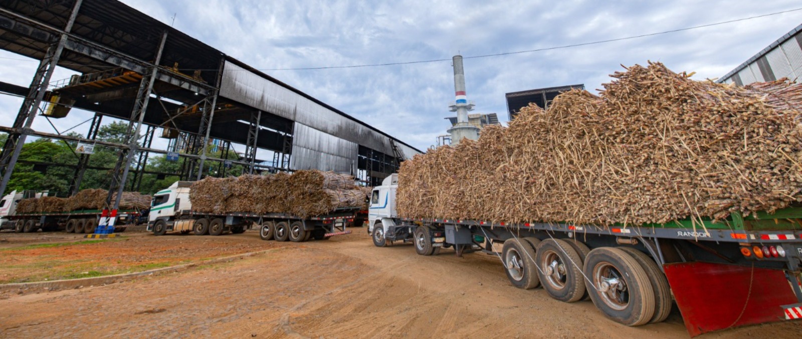 Paraguay aumenta la mezcla obligatoria de biodiésel para fortalecer la producción nacional