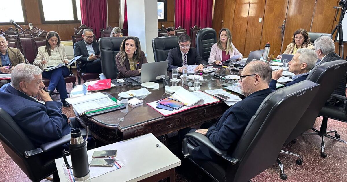 Santiago Peña designó a Ramón Zarza Pintos como miembro del Consejo del IPS