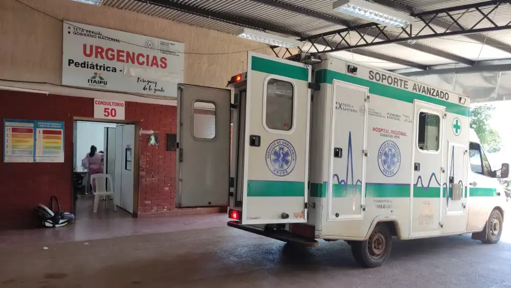 Trasladaron a bebés por presencia de pulgas en Neonatología del Hospital Regional de Ciudad del Este