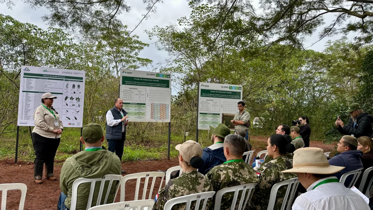 Paraguay impulsa producción de biomasa para diversificar la matriz energética y recuperar bosques
