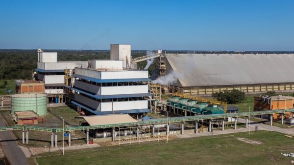 Soja aporta el 43% de las divisas por exportaciones de Paraguay